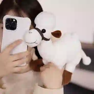 27cm