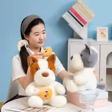 25cm35cm