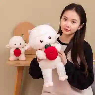 29cm43cm