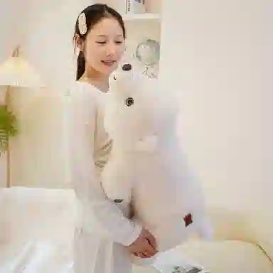 40cm60cm80cm