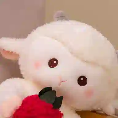 29cm43cm