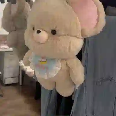 20cm30cm