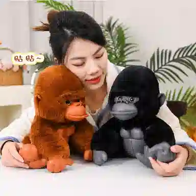 20cm30cm