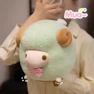 25cm