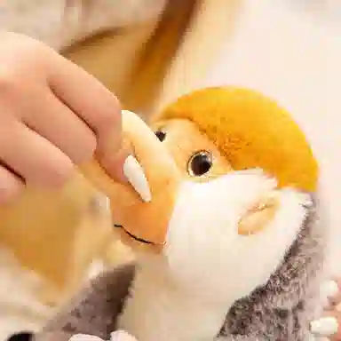22cm