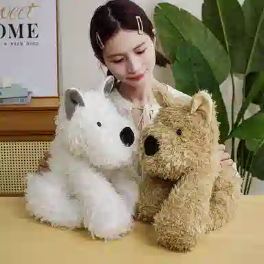 22cm30cm40cm