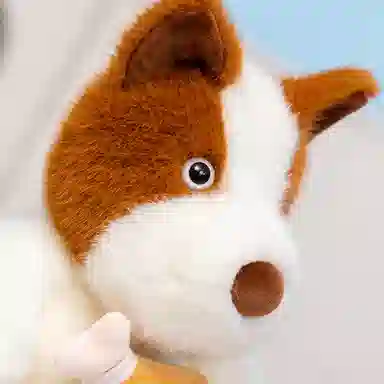 25cm35cm