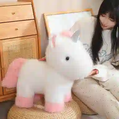 24cm45cm55cm
