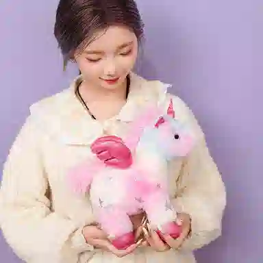 25cm40cm