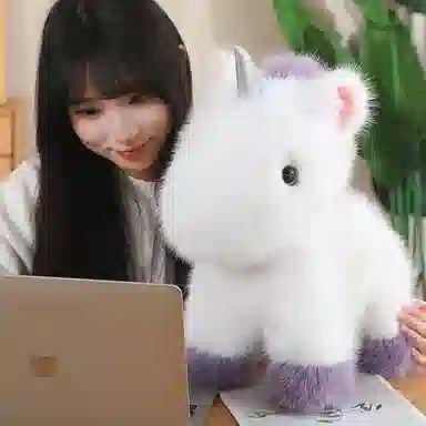 24cm45cm55cm