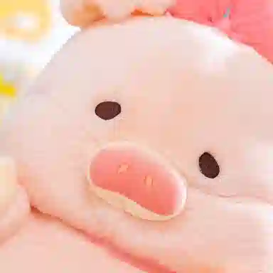 20cm30cm40cm