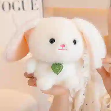 15cm