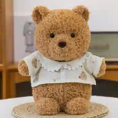 24cm30cm