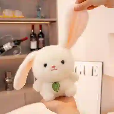 15cm