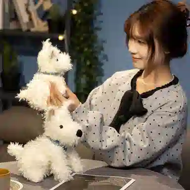 20cm24cm
