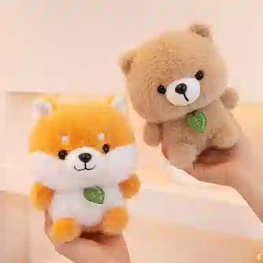 15cm