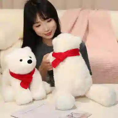 40cm50cm65cm