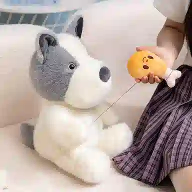 25cm35cm