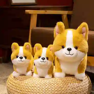 19cm29cm
