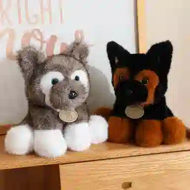 22cm