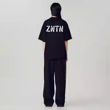 ZNTN T