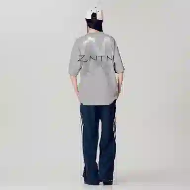ZNTN T