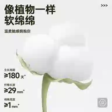 MINISO T
