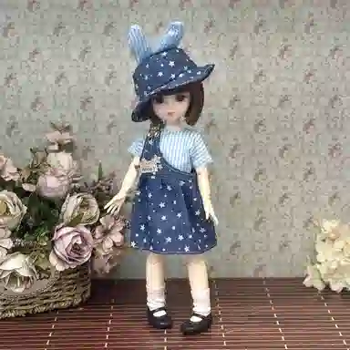 bjd 30cm