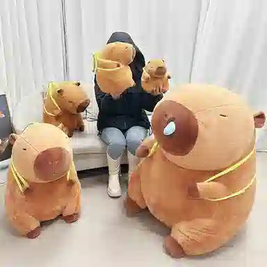 23cm33cm50cm70cm100cm