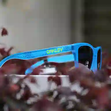Oakley 9245 FROGSKINS (A)