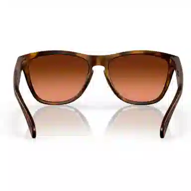 Oakley 9245 FROGSKINS (A)