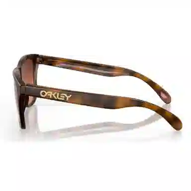 Oakley 9245 FROGSKINS (A)