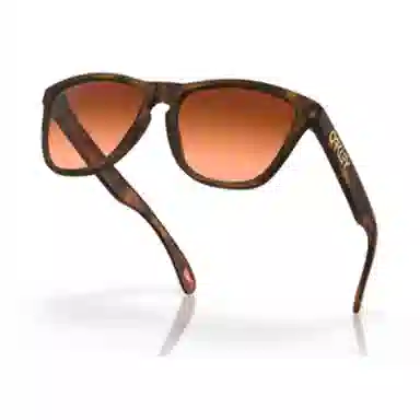 Oakley 9245 FROGSKINS (A)