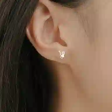 INS 999