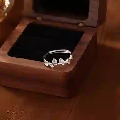 CENTURYKINDLE ins S999