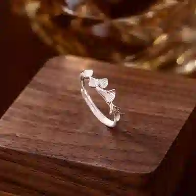 CENTURYKINDLE ins S999