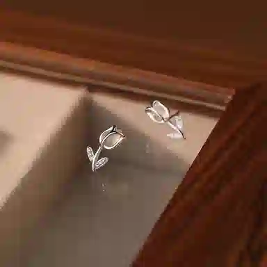 CENTURYKINDLE ins S925