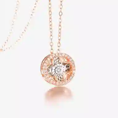 CENTURYKINDLE INS 316L