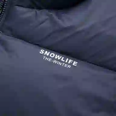 SNOW FLYING LOGO