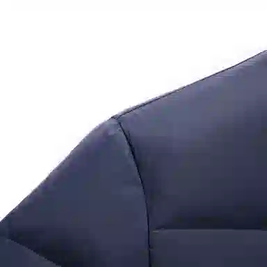 SNOW FLYING LOGO