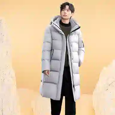 SNOW FLYING
