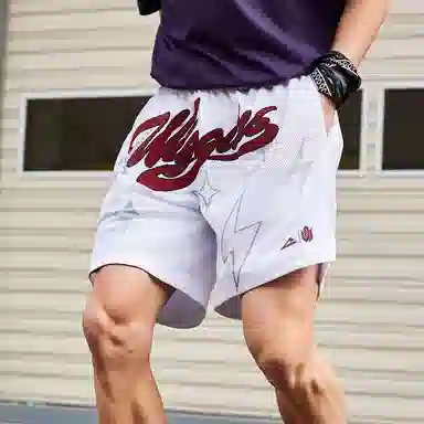 匹克 维金斯 球星系列潮流复古宽松休闲透气百搭吸汗耐磨训练星星裤篮球裤 男款 大白