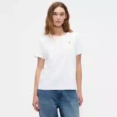 GAP T