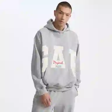 GAP Hoodie Grey