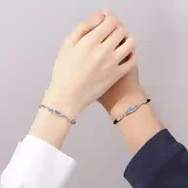 ins 925
