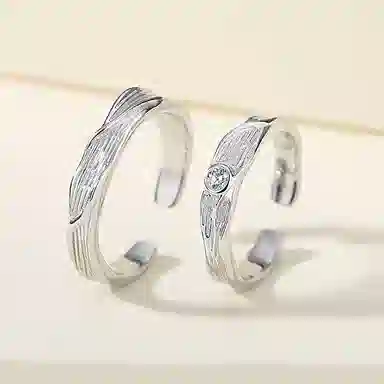 ins 925