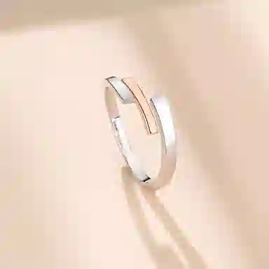 ins 925