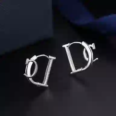 DinsC S999