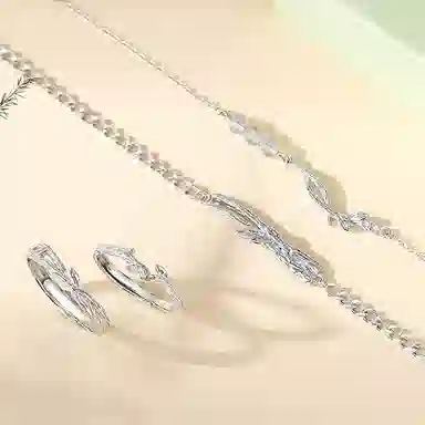 ins 925