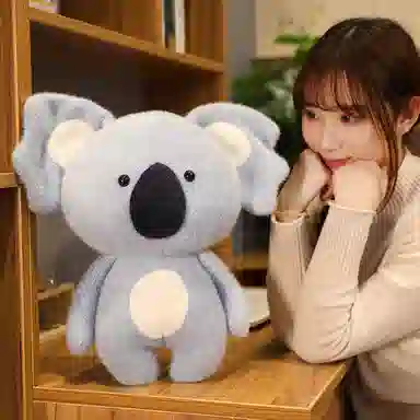 25cm30cm40cm